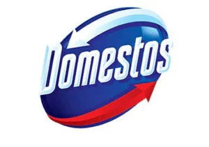 Domestos_Products_500x